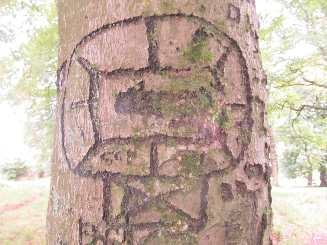 Tree symbol
